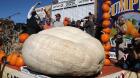 Una calabaza gigante alcanza el peso récord de 933 kilos