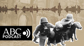 De las matanzas de mascotas en la II Guerra Mundial al horror de Chernóbil: así sufren los animales las guerras