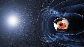 «La inversión de los polos magnéticos llevó a un cambio climático»