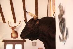 Venta Mauro (Villamanrique de la Condesa)