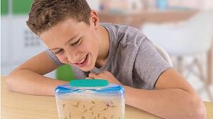 Aquadragons, ¿qué son? ¿dónde comprarlos?