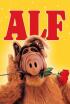 Alf - Una noche encantada