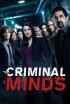 Mentes criminales - Regla 34