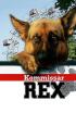 Rex, un policía diferente - Huída hacia la muerte