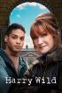 Harry Wild - Episodio 6