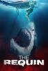 The Requin: Ataque de tiburones