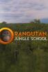 Escuela de orangutanes