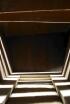 Animals arquitectes