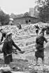 Las voces de Auschwitz