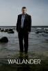 Wallander - La pista falsa