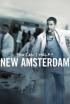 New Amsterdam - Límites