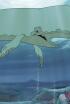 Moby Dick e o segredo de Mu - Moby Dick e o segredo de Mu