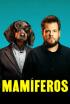Mamíferos - En el calor