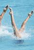 Europeo de Natación Artística