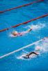 Copa del mundo de natación - Westmont