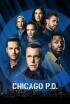 Chicago P.D. - No es oro todo lo que reluce