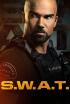 S.W.A.T. Los hombres de Harrelson - Todo lo que brilla