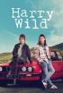 Harry Wild - Matándome suavemente con su mala canción pop