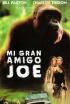 Mi gran amigo Joe