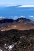Islas Canarias: naturaleza salvaje