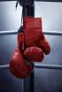Boxeo: velada Pero vs Navarro