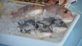 Restaurante Mediterráneo