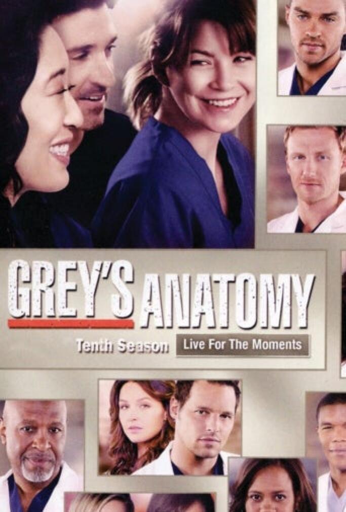 Anatomia De Grey Temporada 18 Capitulo 9
