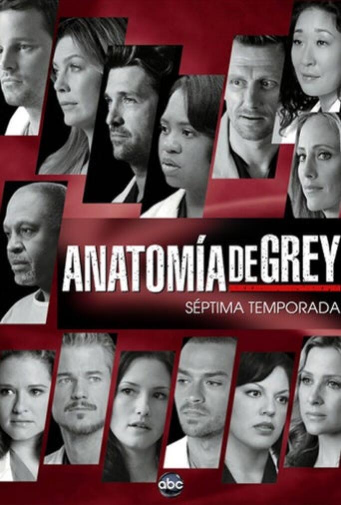 Anatomia De Grey Temporada 18 Capitulo 9