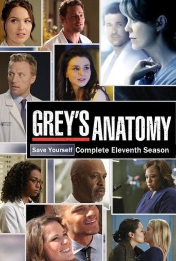 Anatomia De Grey Temporada 18 Capitulo 16