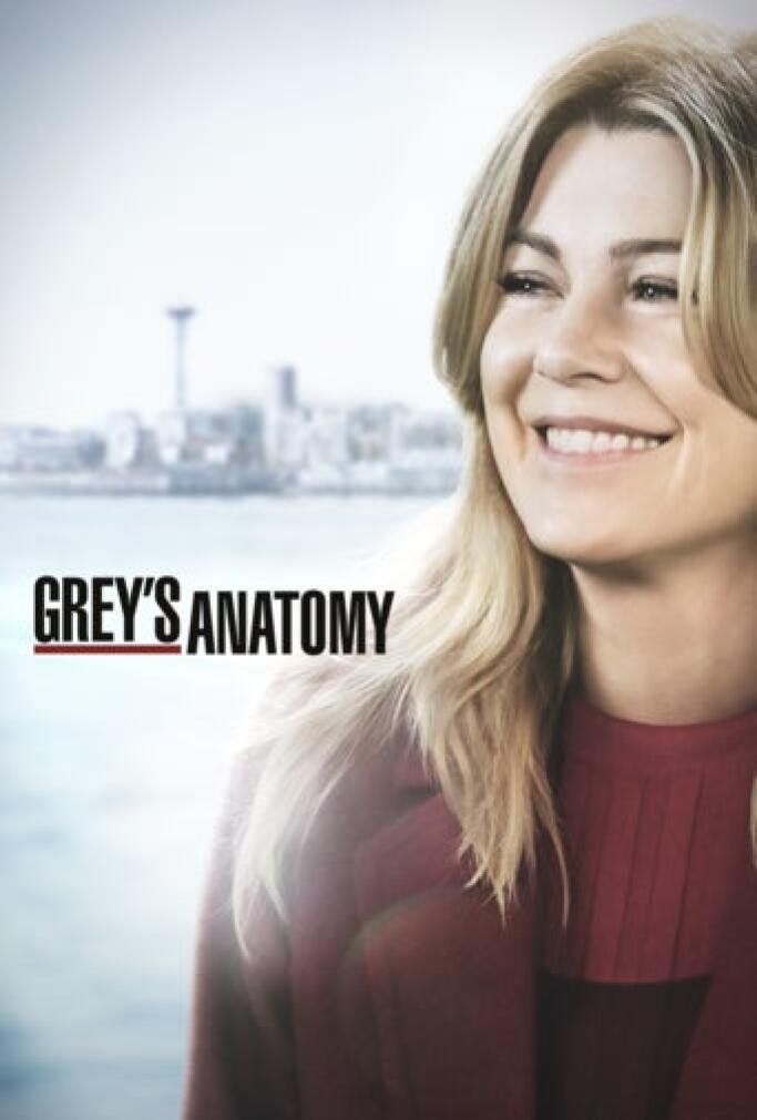 Anatomia De Grey Temporada 16 Episodio 20
