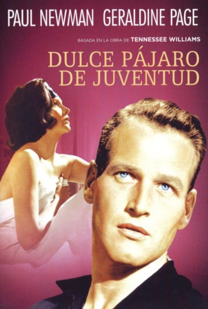 Dulce pájaro de juventud (1962) Película - PLAY Cine