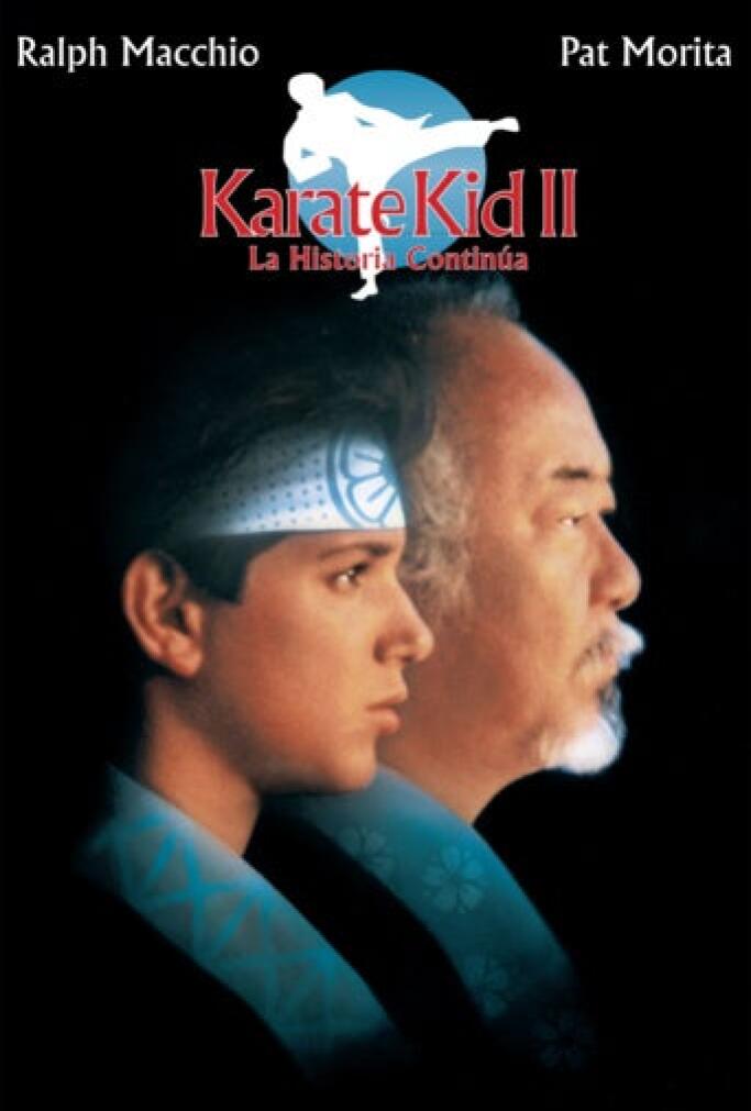 Karate Kid Ii - La Storia Continua...